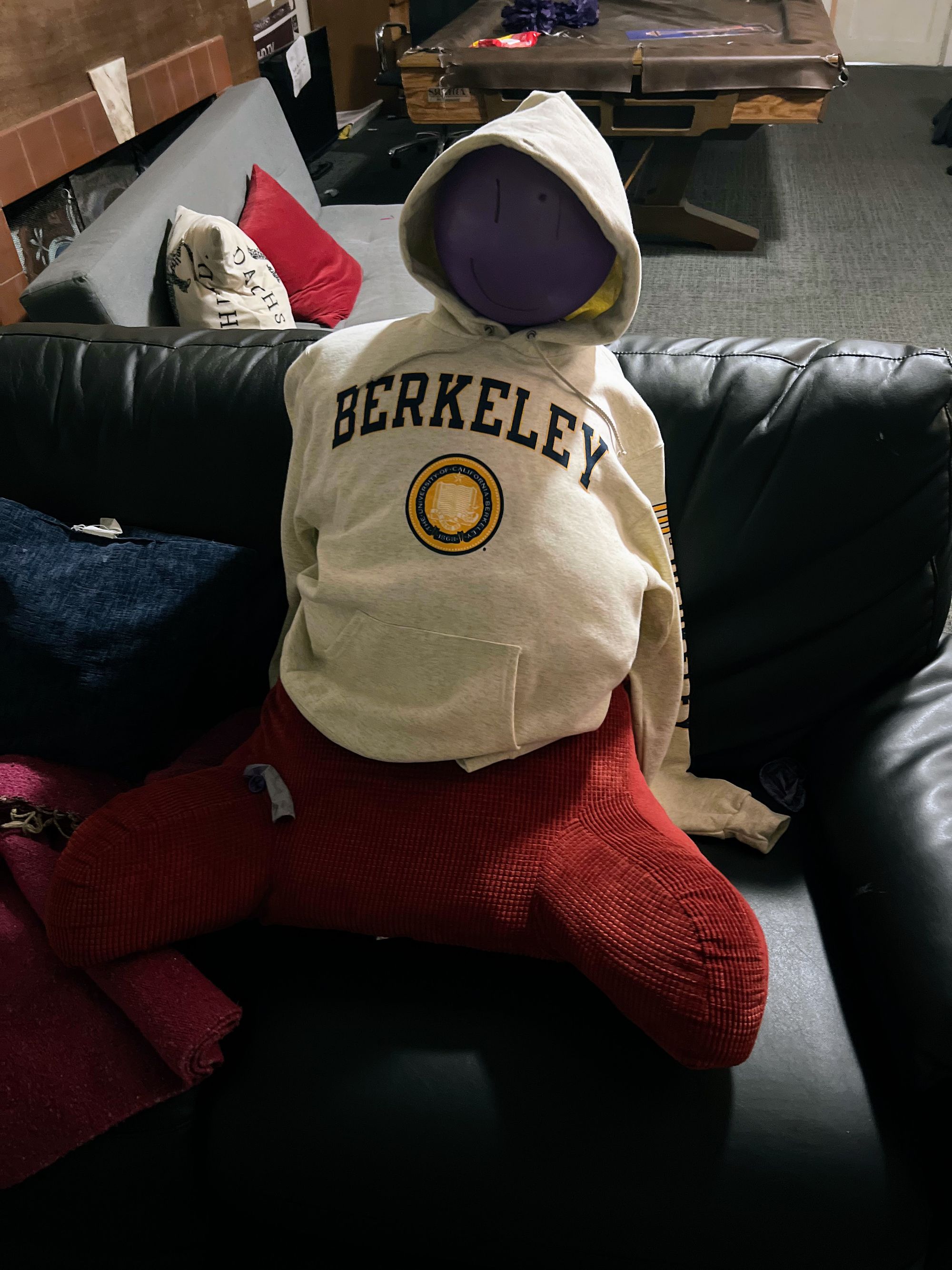 My Sophomore Year at UC Berkeley