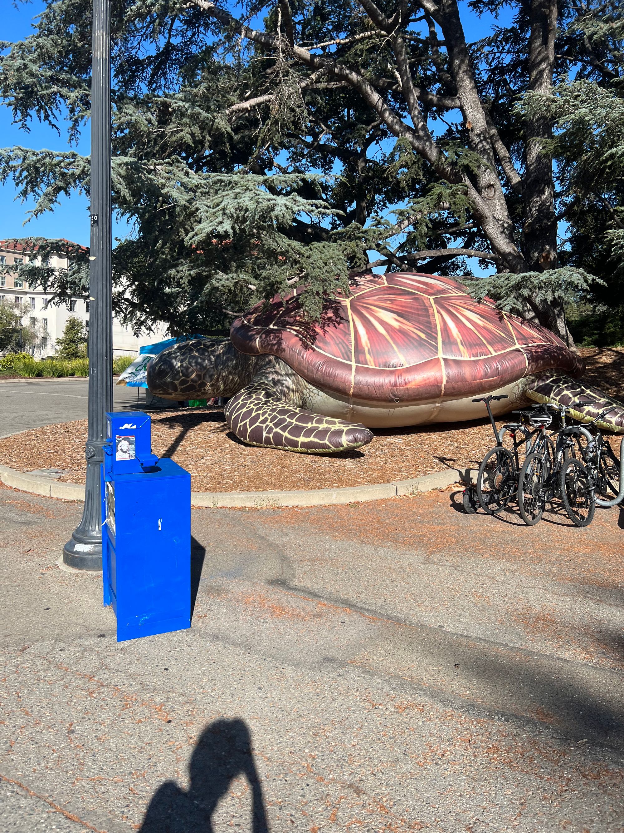 My Sophomore Year at UC Berkeley