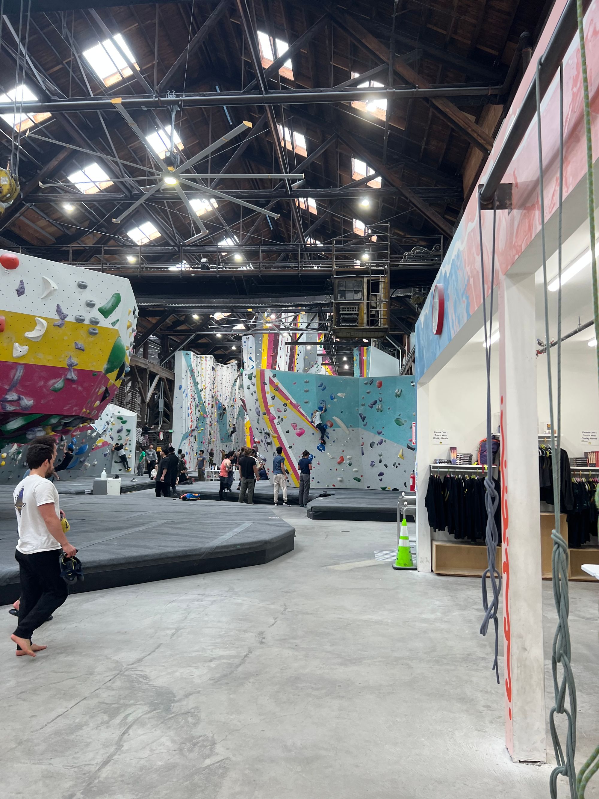 My Sophomore Year at UC Berkeley