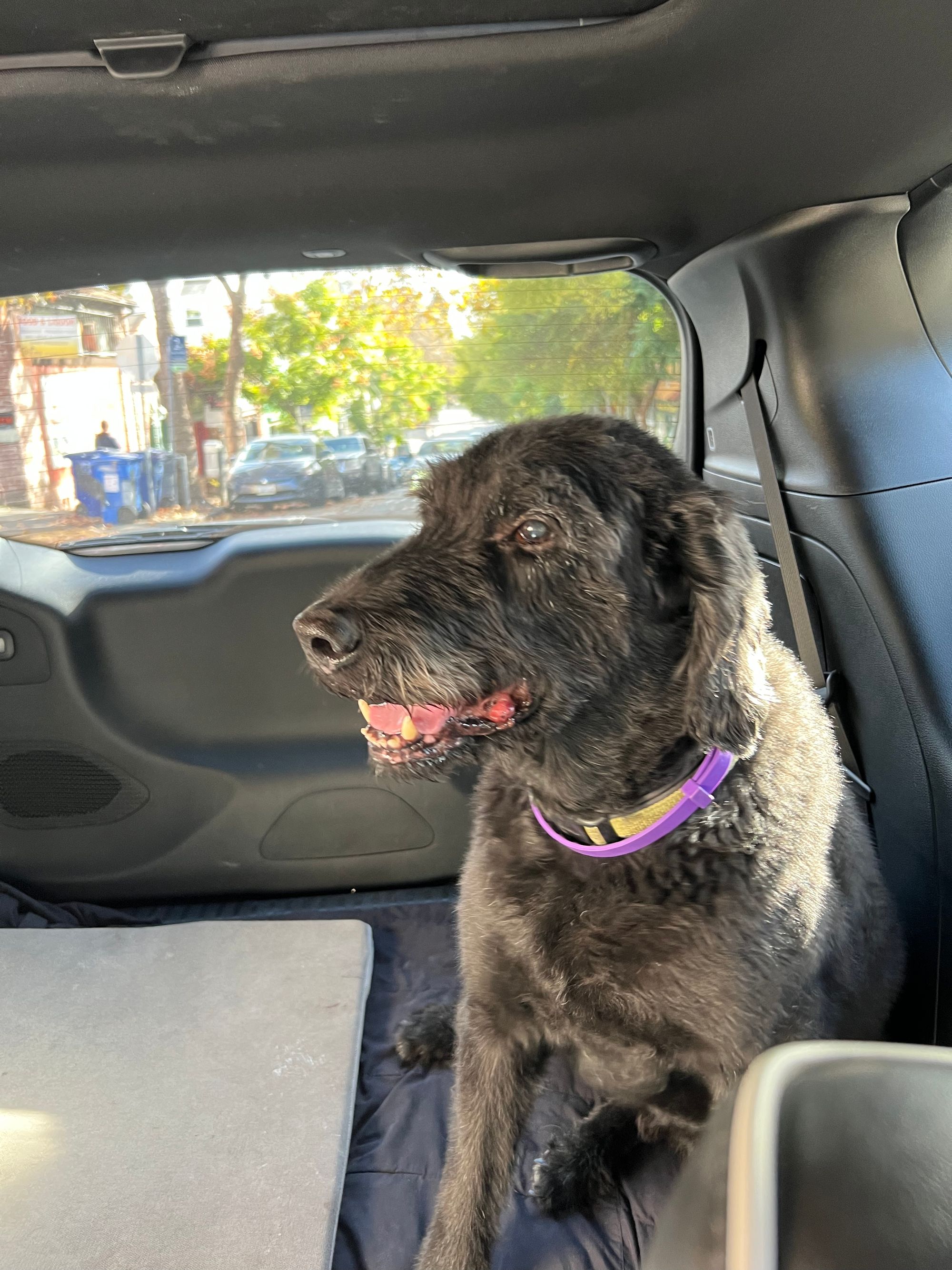 My Sophomore Year at UC Berkeley