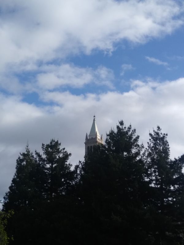 UC Berkeley Campanile peeks out behind the trees